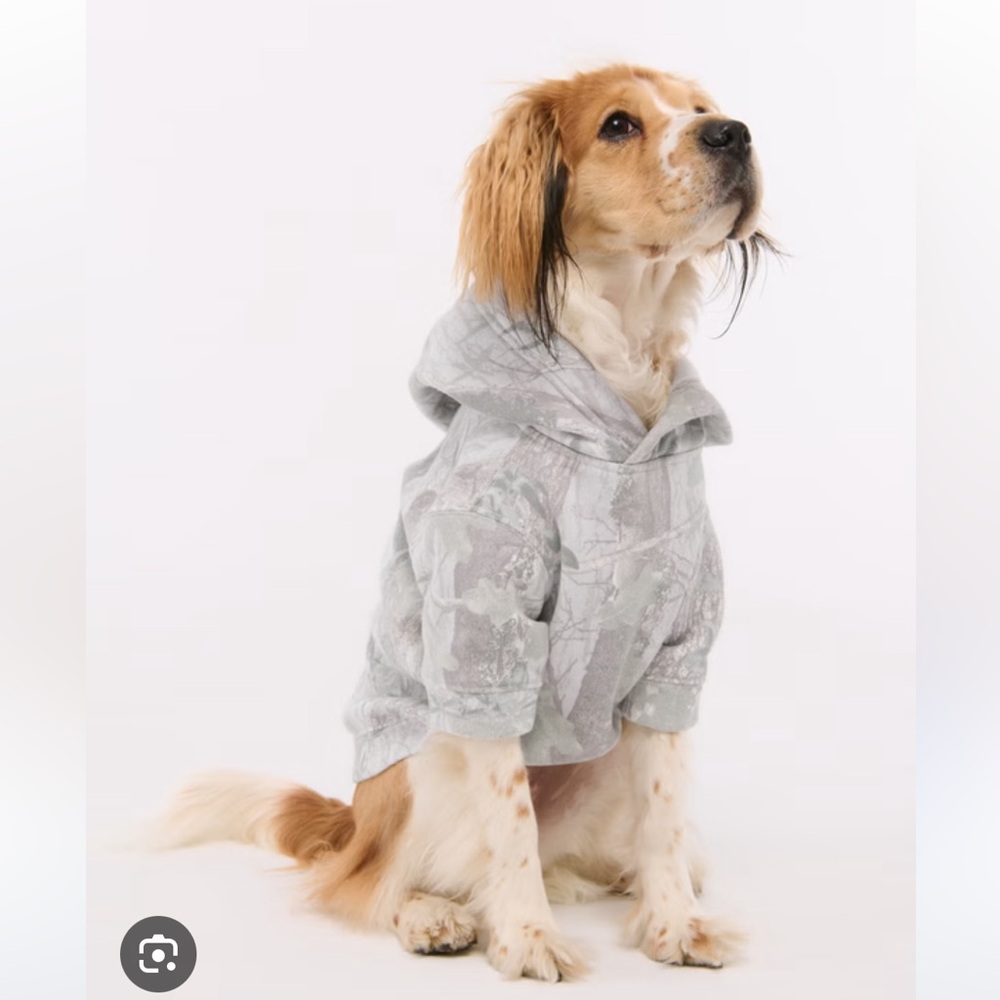 Abercrombie Dog sweatshirt